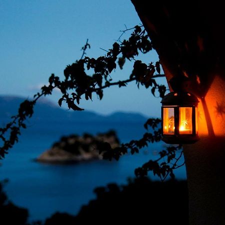 Villa Palmyra Πογωνιά Εξωτερικό φωτογραφία
