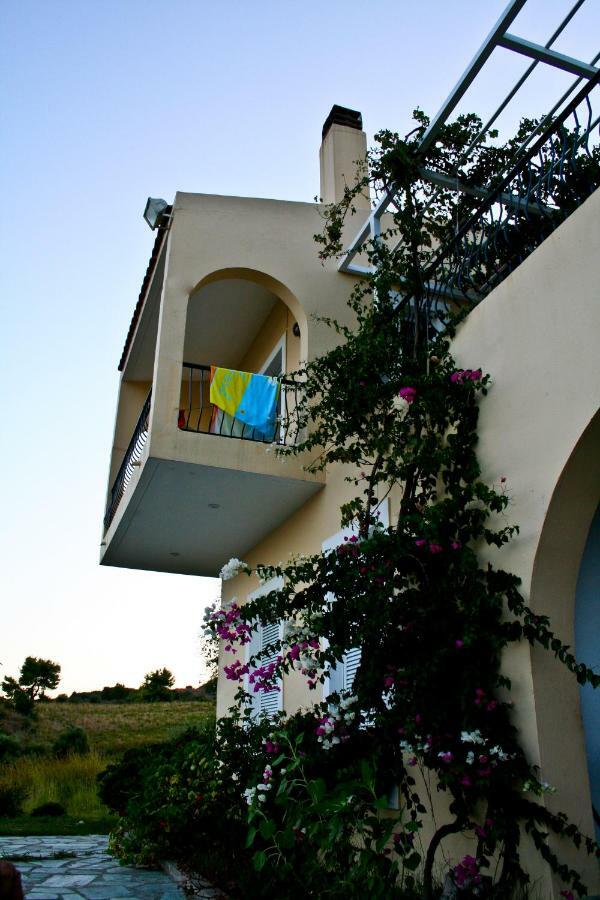 Villa Palmyra Πογωνιά Εξωτερικό φωτογραφία