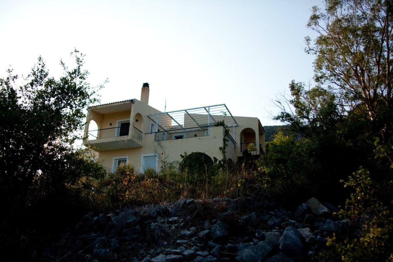 Villa Palmyra Πογωνιά Εξωτερικό φωτογραφία