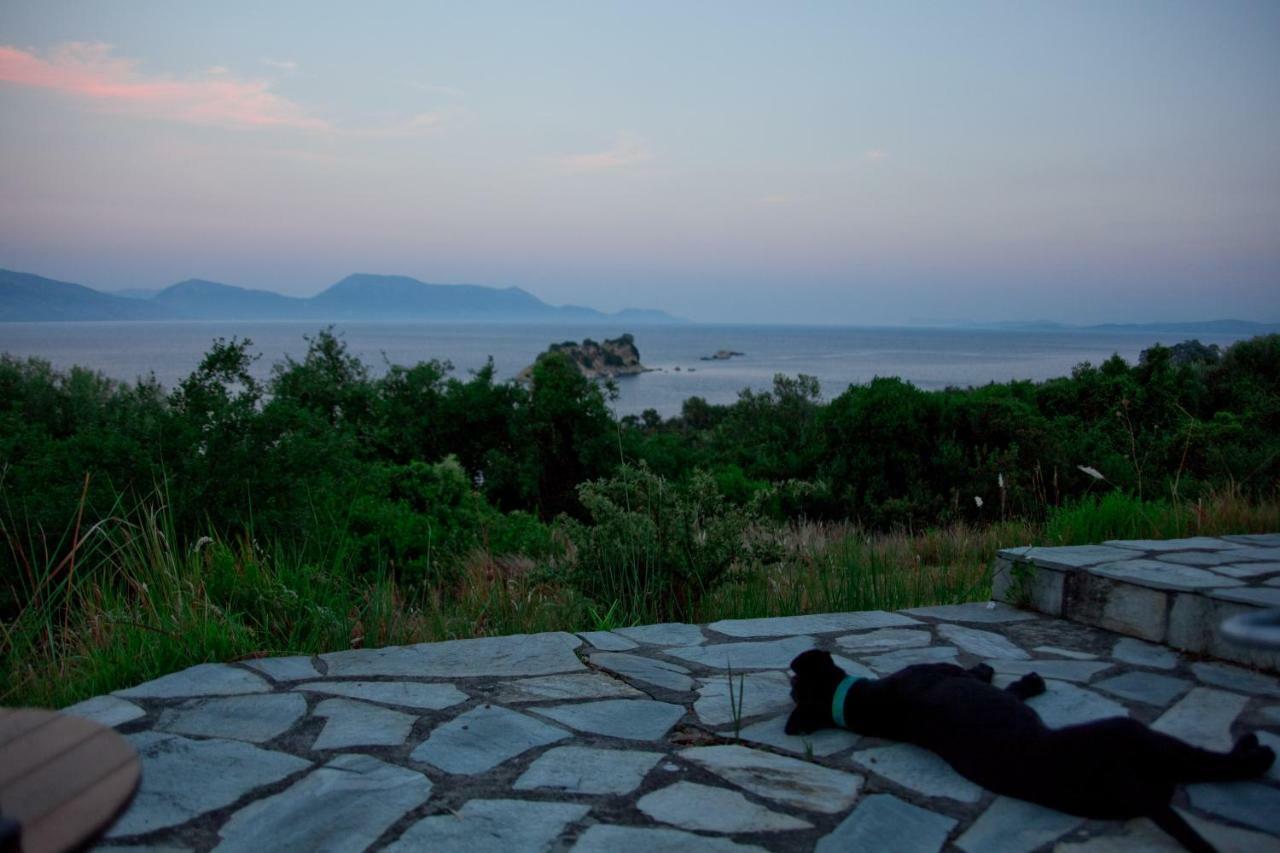 Villa Palmyra Πογωνιά Εξωτερικό φωτογραφία