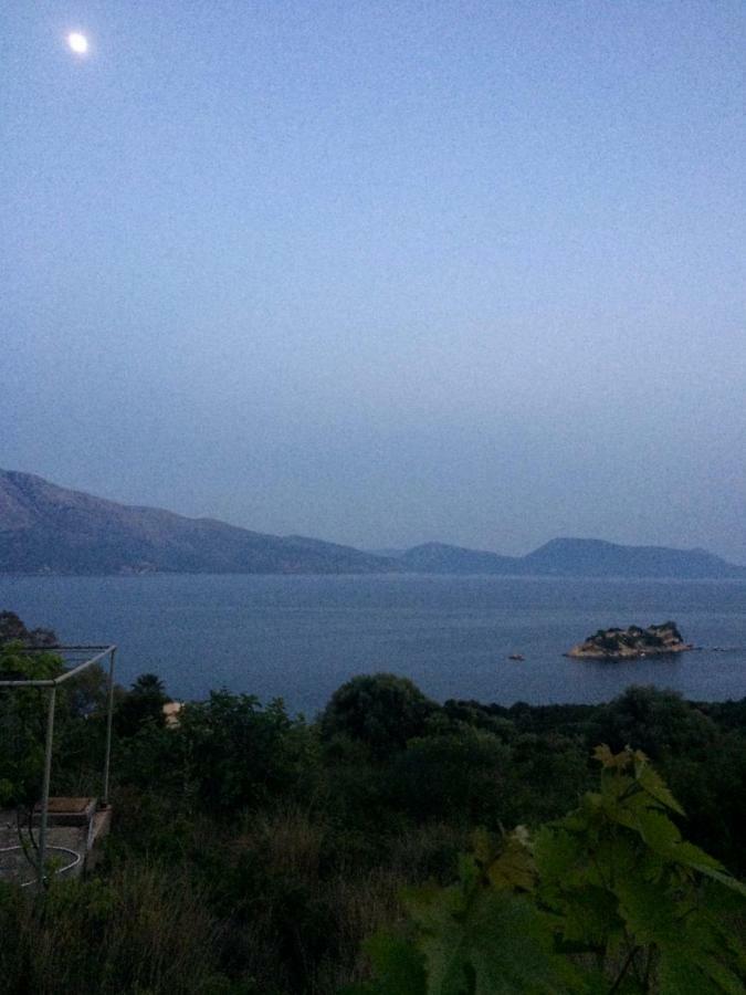 Villa Palmyra Πογωνιά Εξωτερικό φωτογραφία