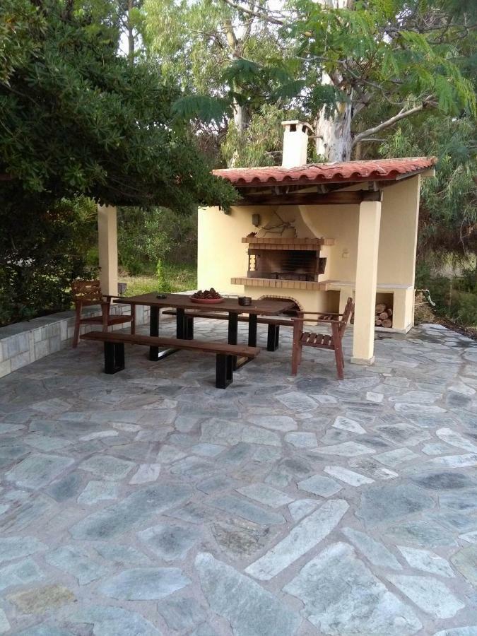Villa Palmyra Πογωνιά Εξωτερικό φωτογραφία